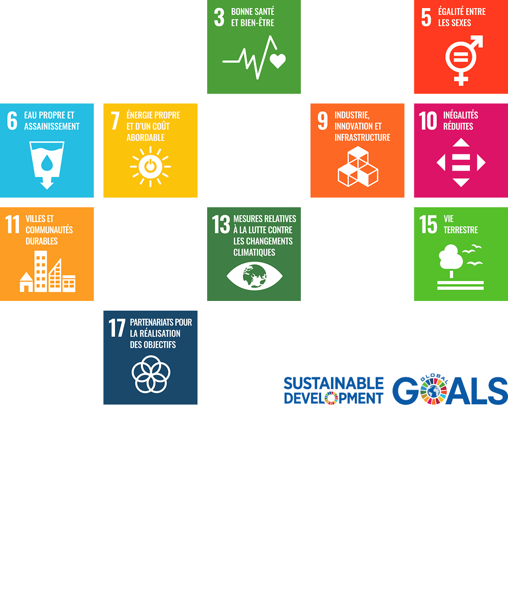 SDG Icons